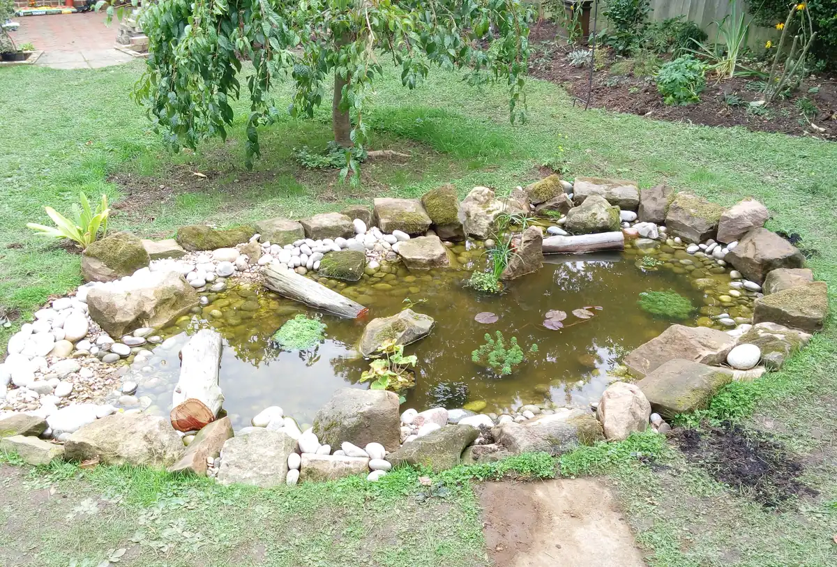 The finished wildlife pond with stone edge, logs and planting